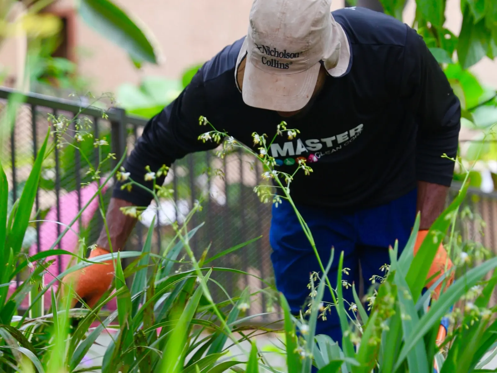 Jardinería y áreas verdes
